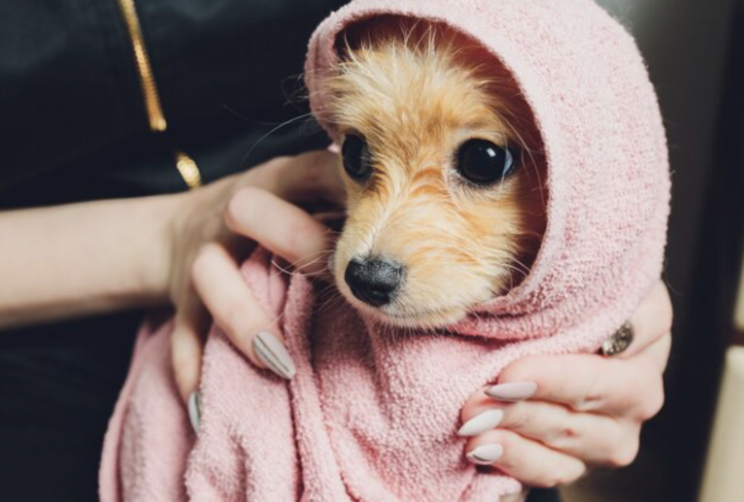 capture d’écran 2025 12 04 à 11.28.31