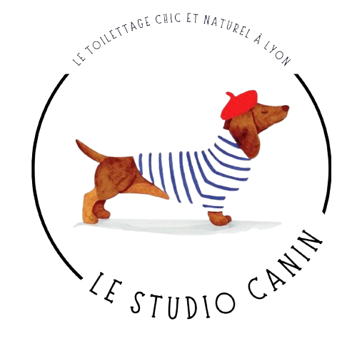 capture d écran 2025 12 03 à 15.51.05 removebg preview