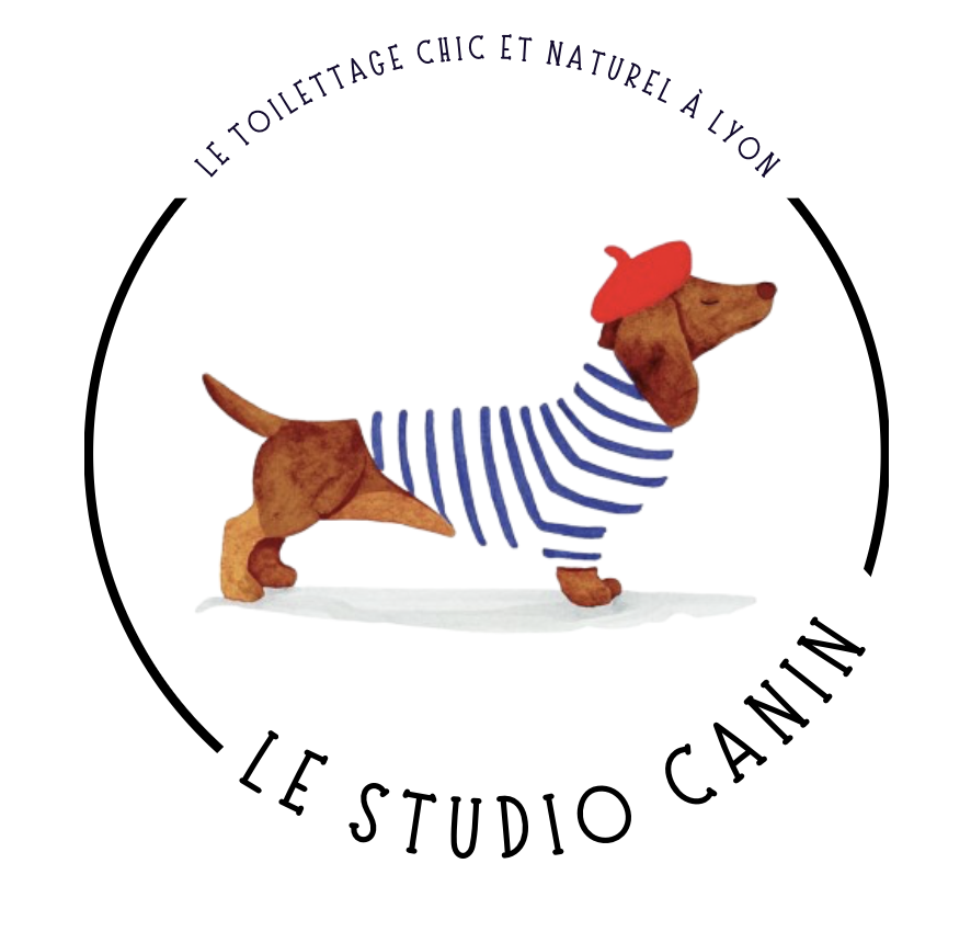 logo Le studio Canin